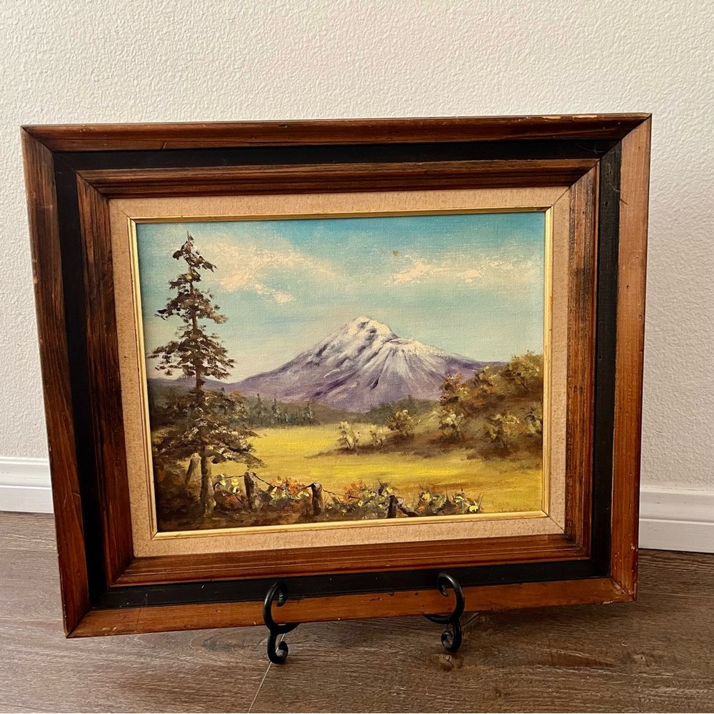 Framed Mountain Landscape Painting 16/19 inches
